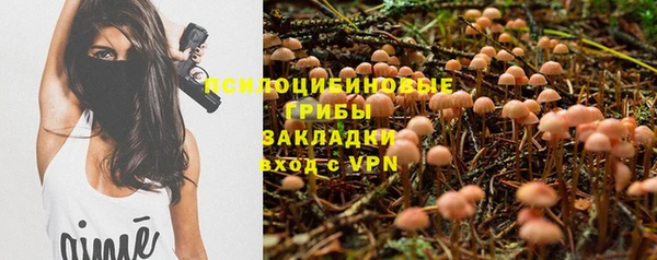 не бодяженный Абаза