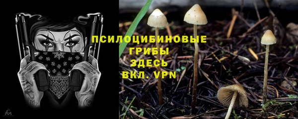 ALPHA PVP Нея